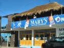 Scenes From Rocky Point