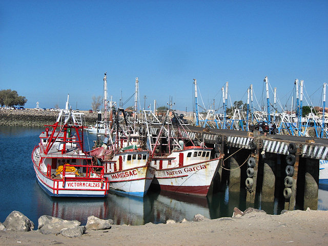 Fishing Boats in Rocky Point