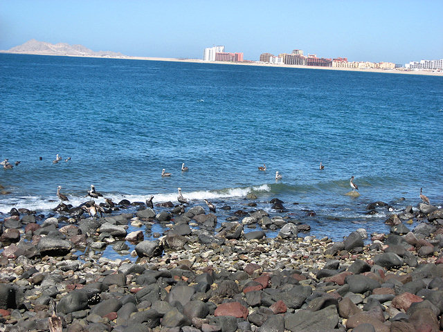 Scenes From Rocky Point