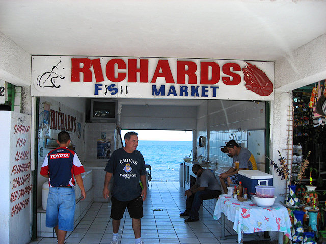 Scenes From Rocky Point