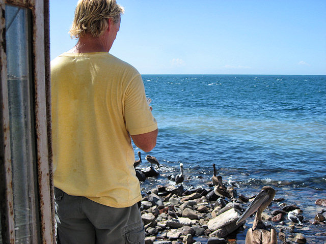 Scenes From Rocky Point