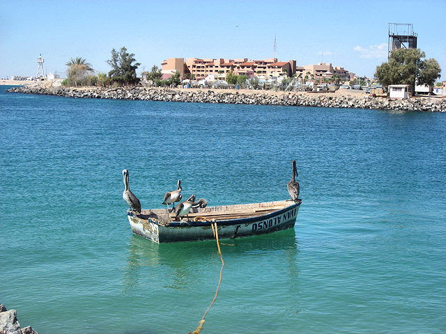 Scenes From Rocky Point