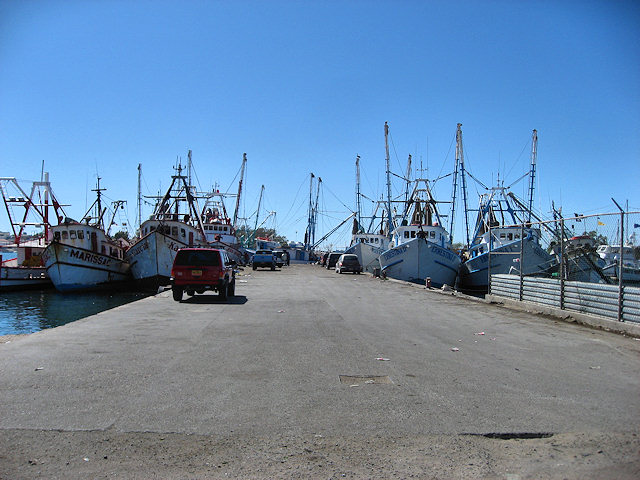 Scenes From Rocky Point