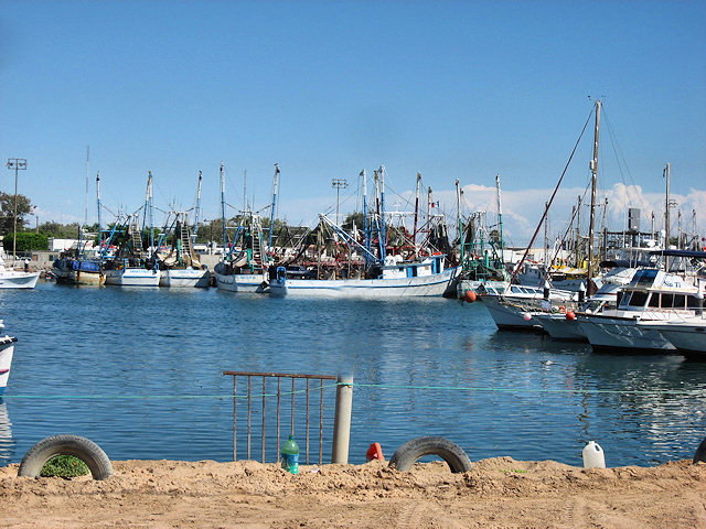 Scenes From Rocky Point