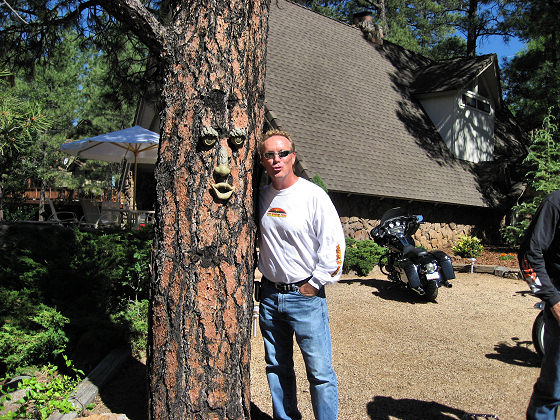 The Tree With a Face