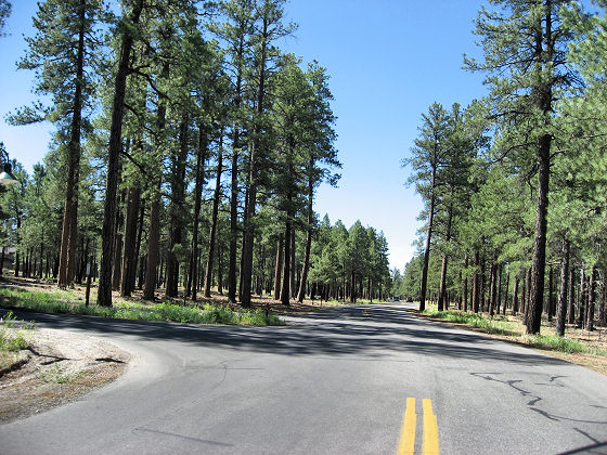 Forest Highlands