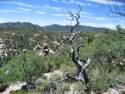Chiricahua National Monument - Arizona