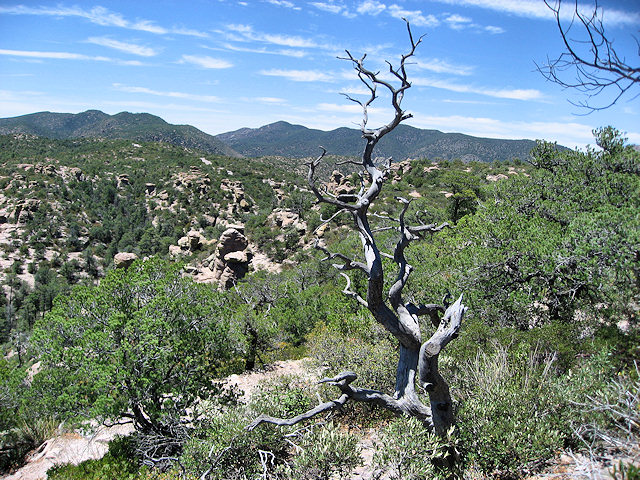 Chiricahua National Monument - Arizona