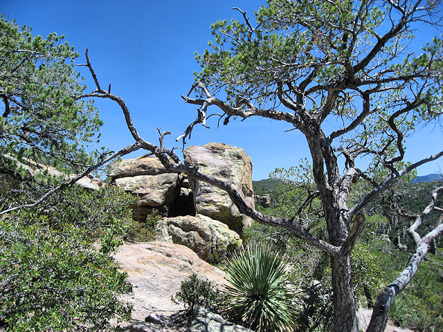 Chiricahua National Monument - Arizona