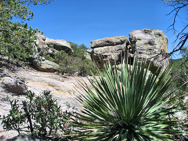 Chiricahua National Monument - Arizona