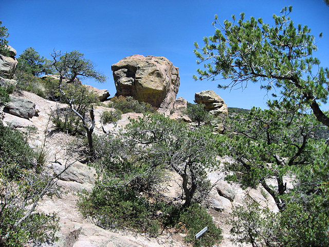Chiricahua National Monument - Arizona