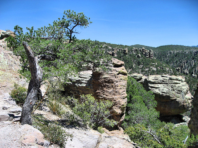 Chiricahua National Monument - Arizona