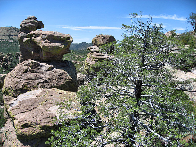 Chiricahua National Monument - Arizona