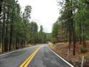 Hwy. 191 Coronado Trail S. of Alpine, AZ