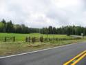 Hannagan Meadow