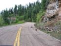 View From Hwy. 191 - Coronado Trail Scenic Road