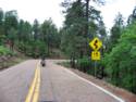 View From Hwy. 191 - Coronado Trail Scenic Road