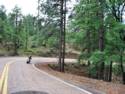 View From Hwy. 191 - Coronado Trail Scenic Road