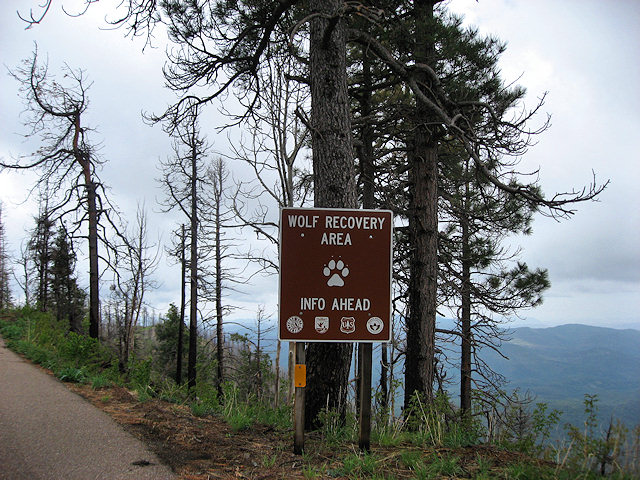 Hwy. 191 - Coronado Trail Scenic Road