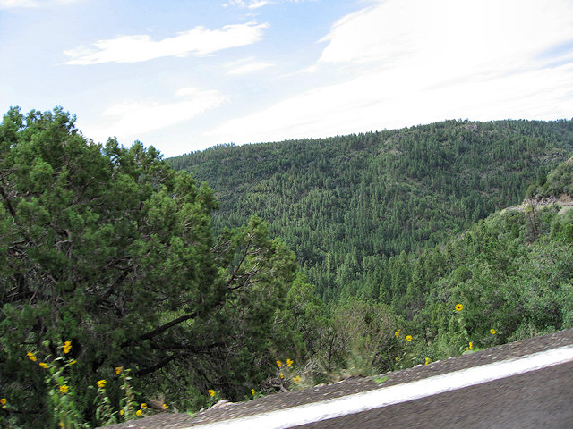 Hwy. 89A to Jerome, AZ