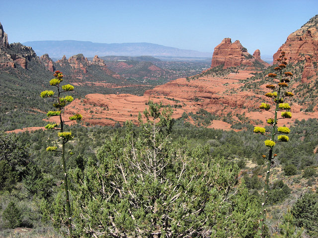 View From Schnebly Hill Rd.