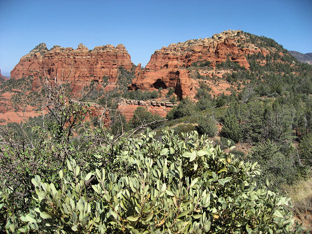 View From Schnebly Hill Rd.