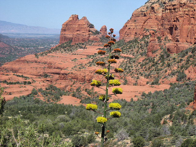View From Schnebly Hill Rd.