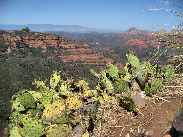 View From Schnebly Hill Rd.