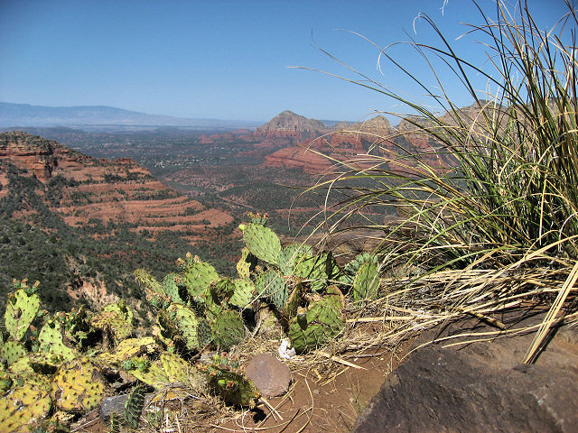 View From Schnebly Hill Rd.