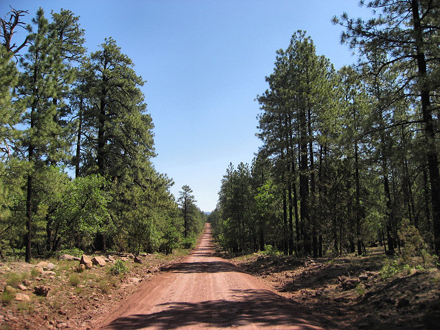 View From Schnebly Hill Rd.