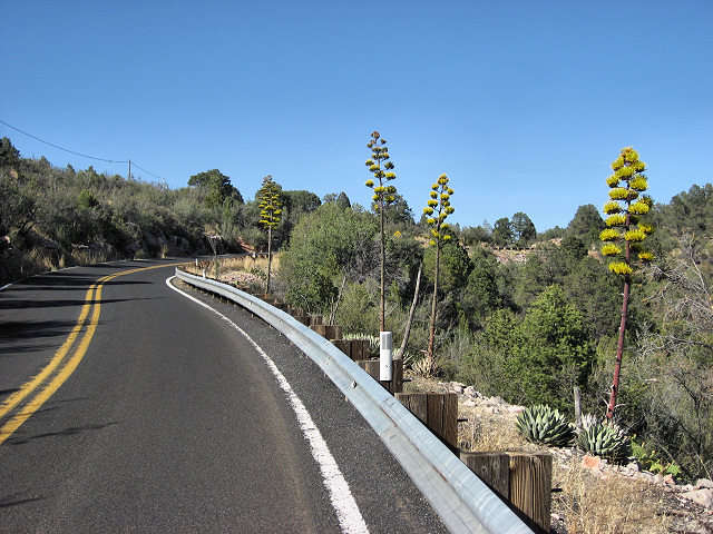 89A Mingus Mountain