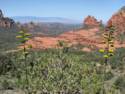 View From Schnebly Hill Rd.