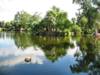 The Phoenix Zoo Grounds