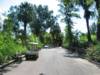 The Phoenix Zoo Grounds