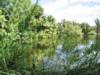 The Phoenix Zoo Grounds