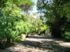 The Phoenix Zoo Grounds
