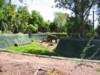 Elephant Habitat at Phoenix Zoo