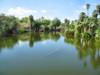 The Phoenix Zoo Grounds