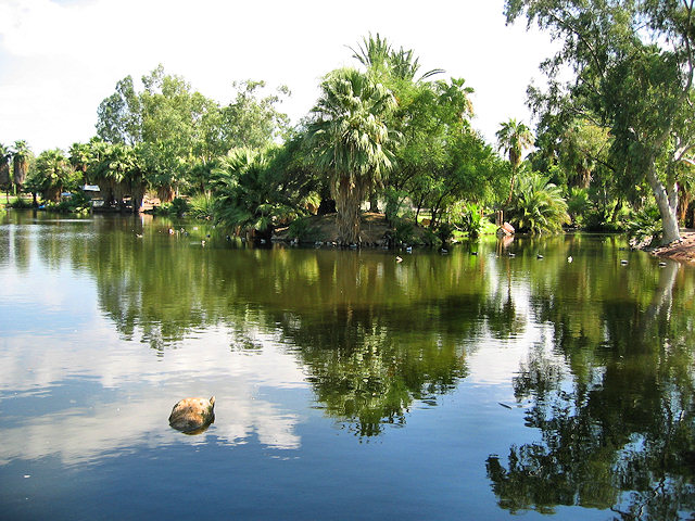 The Phoenix Zoo Grounds