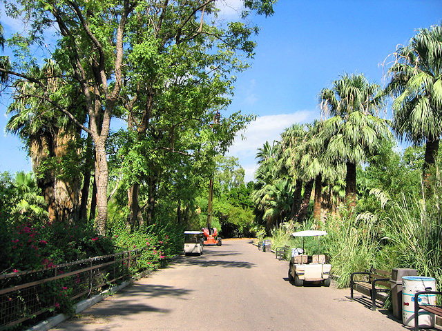The Phoenix Zoo Grounds