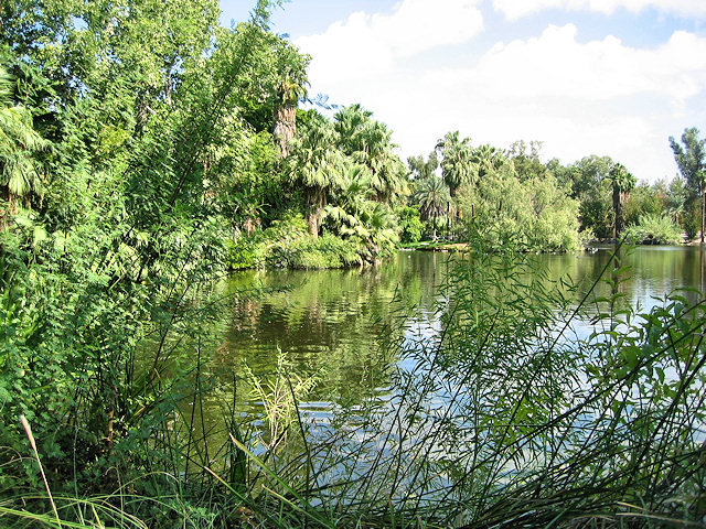 The Phoenix Zoo Grounds