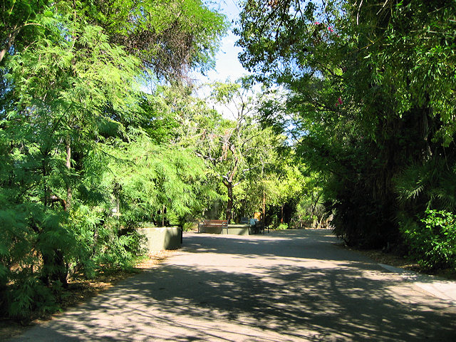 The Phoenix Zoo Grounds