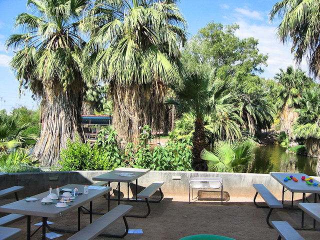 The Phoenix Zoo Grounds
