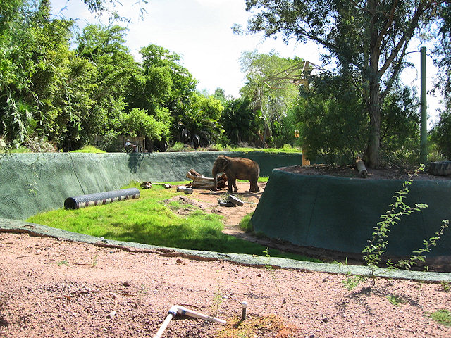 Elephant Habitat at Phoenix Zoo
