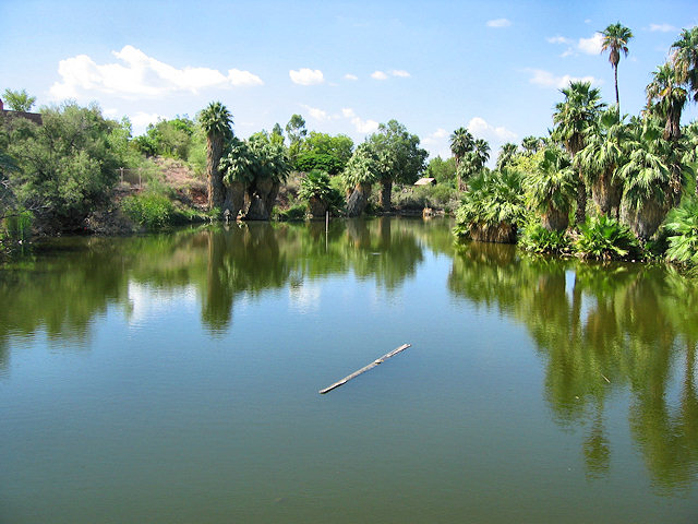 The Phoenix Zoo Grounds