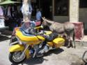 Scenes From Oatman, AZ