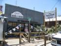 Scenes From Oatman, AZ