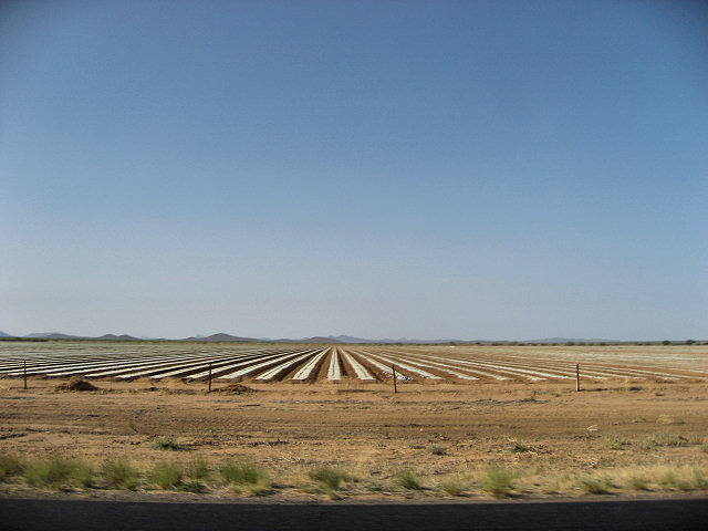 Hwy. 60 to Aguila