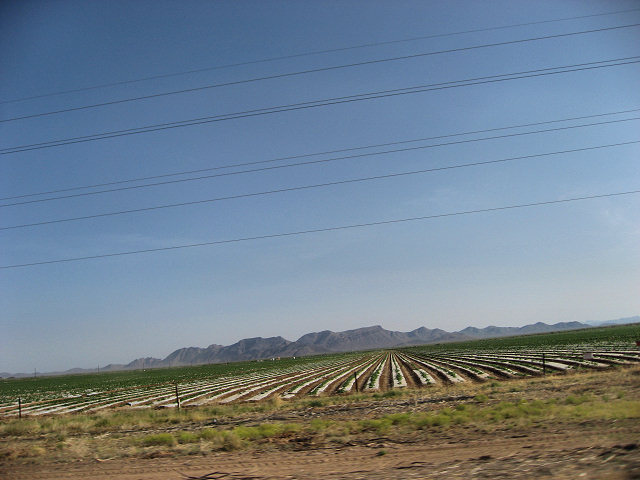 Hwy. 60 to Aguila
