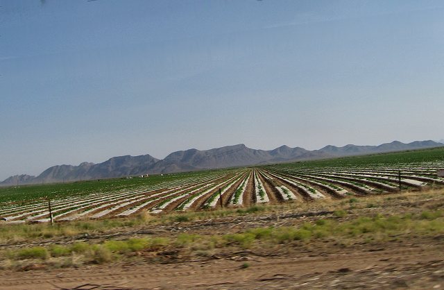 Hwy. 60 to Aguila